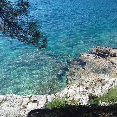 Katica * Pula