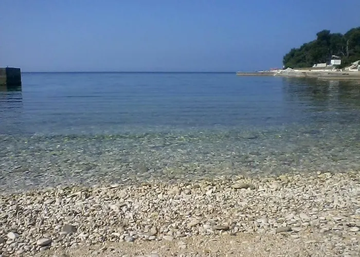 Katica * Πούλα