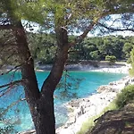Katica * Pula