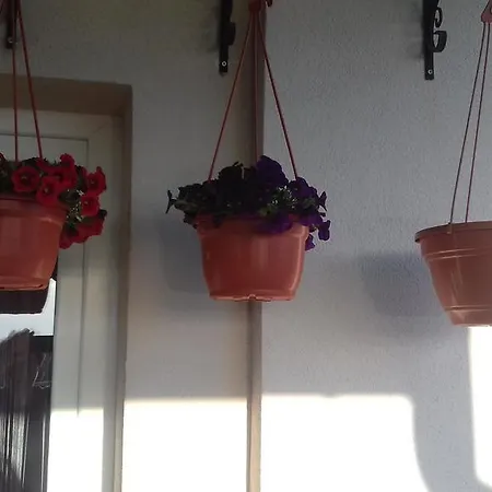 Appartement Katica *