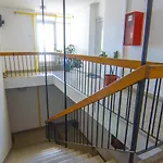 Katica Pula