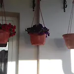 شقة Katica *
